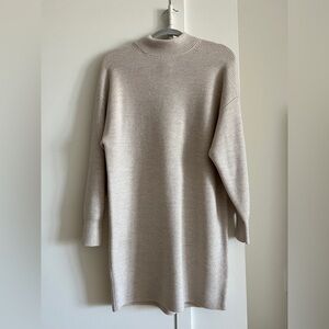 Aritzia Maclean Merino Wool Sweater Dress